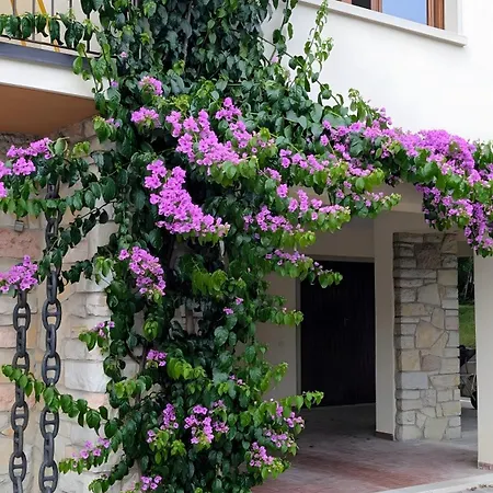 Charming Garda * Torri Del Benaco
